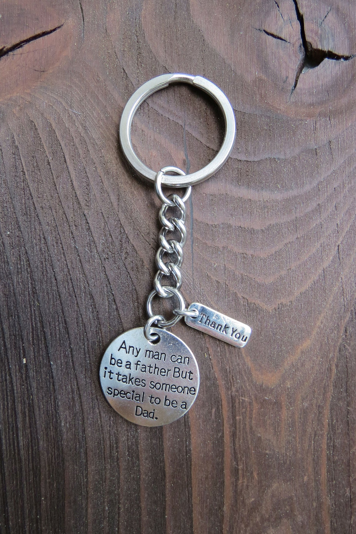 For Dad Keychain Silver Stainless Steel Keychain Key Ring Gift ( Any Man Can be a Father, But it Takes Someone Special to be a Dad )