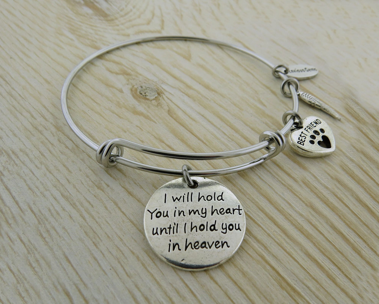 I Will Hold You in My Heart Until I Hold You in Heaven Angel Wing Pet Memorial Beloved Companion Fur Baby Stainless Steel Bracelet